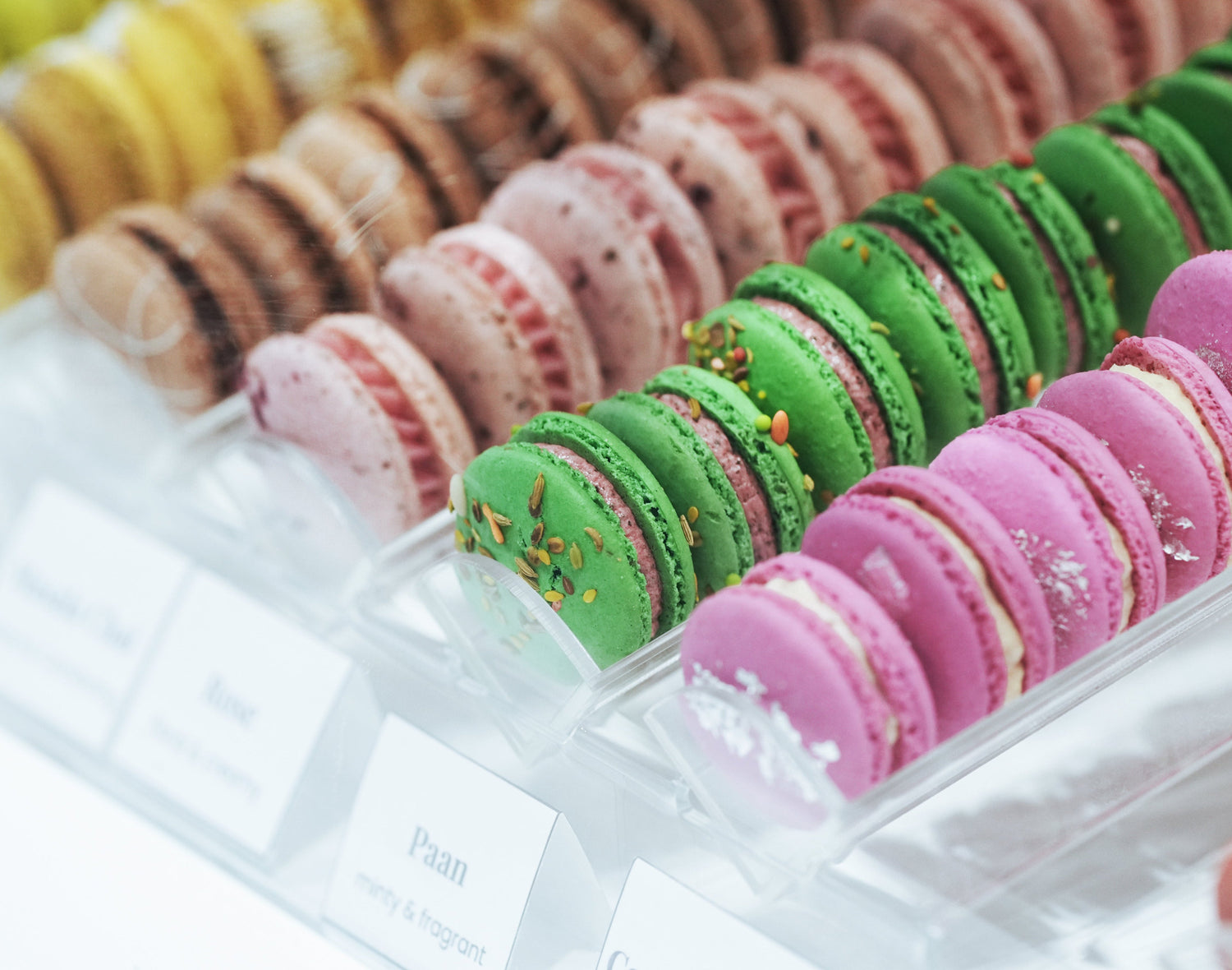 All Macarons