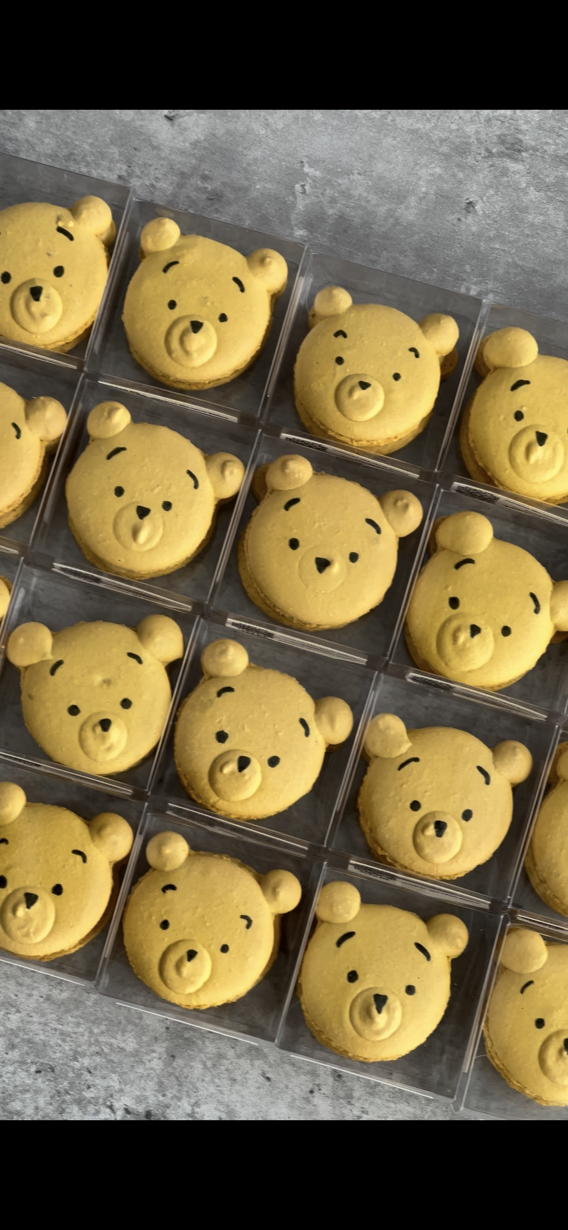 Winnie the poo macaron