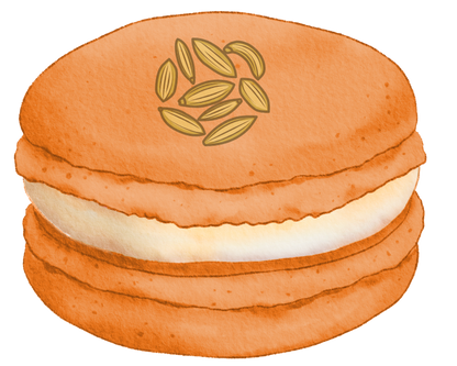 Orange Saunf macaron_desi macaron