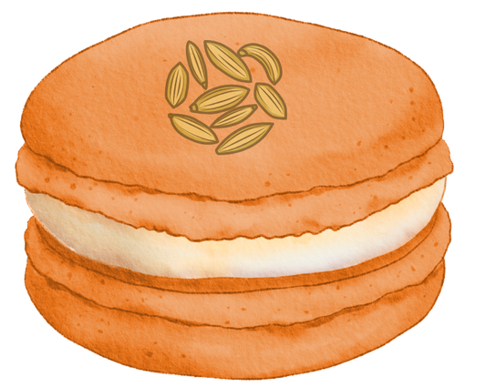 Orange Saunf macaron_desi macaron