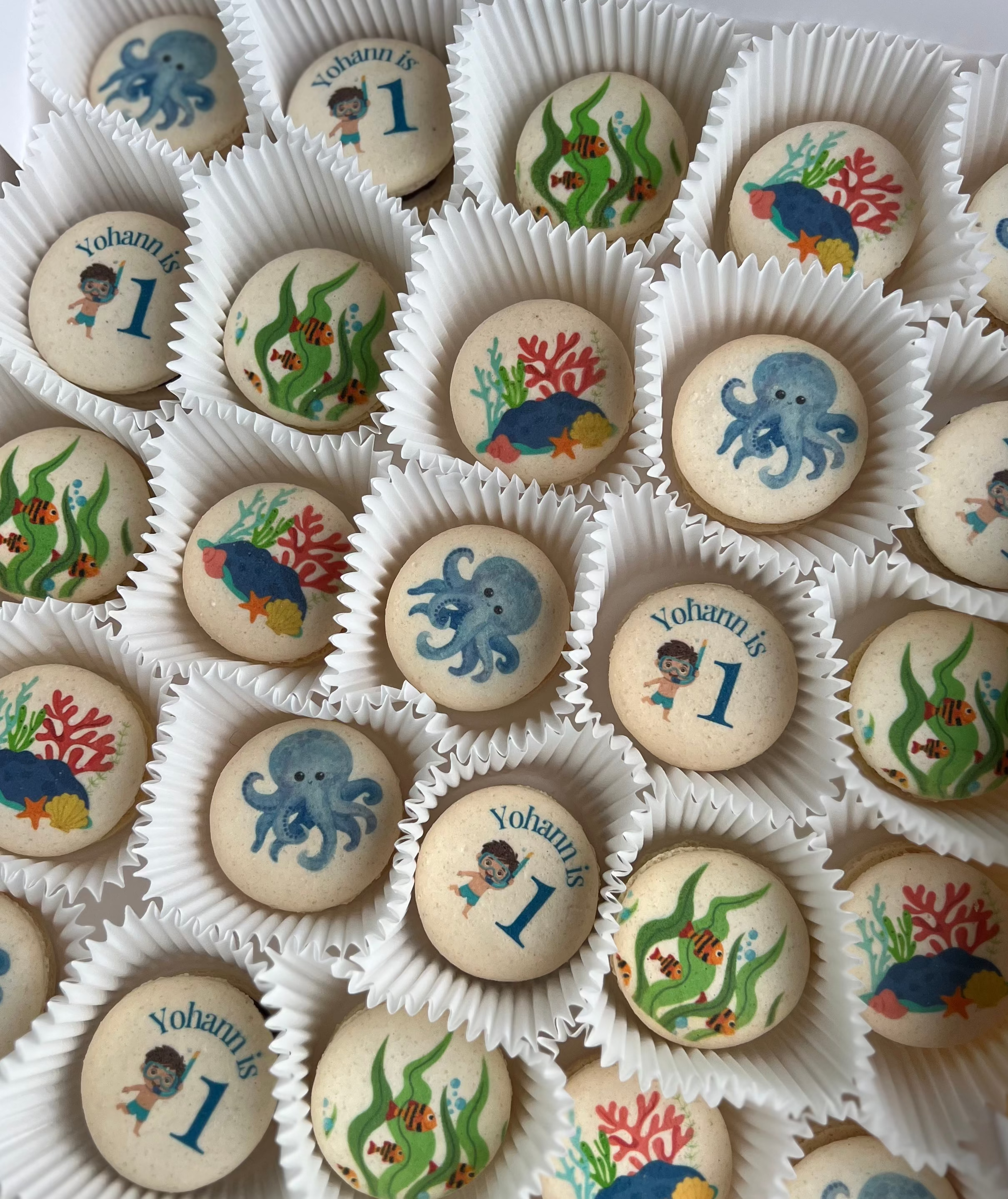 Box of printed macarons with ocean-themed designs including fish, octopuses, and plants.